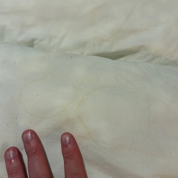 Sealy Standard Queen Pillows - set of two - Picture 3 of 6